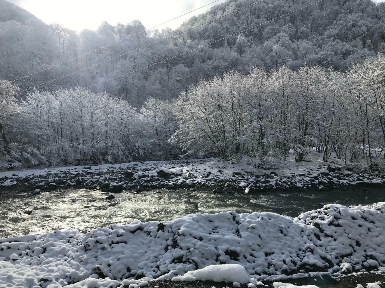 Tourist Complex Khomi Otel Ch'argali Dış mekan fotoğraf